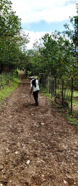 Agricultor no campo