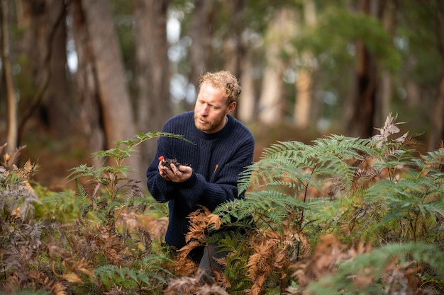 Agricultor orgânico regenerativo que recolhe amostras de solo e observa o crescimento das plantas numa quinta que pratica agricultura sustentável