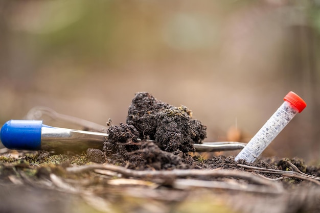 Agricultor orgánico regenerativo que toma muestras de suelo y observa el crecimiento de las plantas en una granja que practica agricultura sostenible