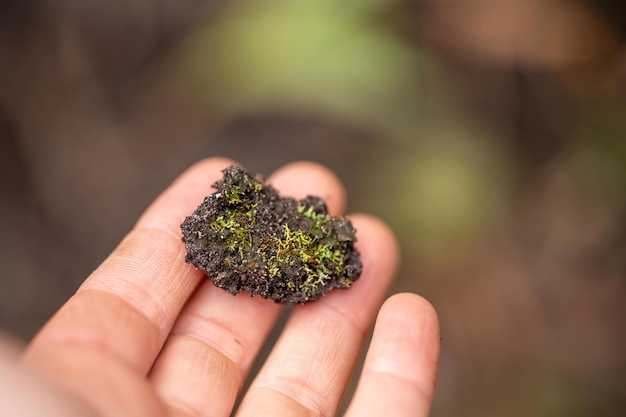 Agricultor orgánico regenerativo que toma muestras de suelo y observa el crecimiento de las plantas en una granja que practica agricultura sostenible