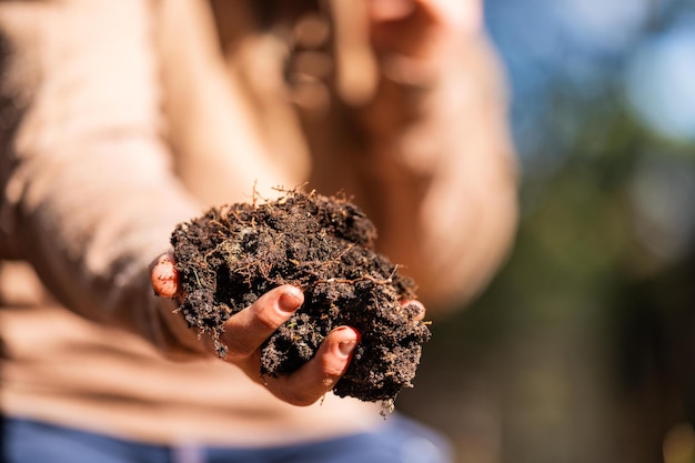 Agricultor orgánico regenerativo tomando muestras de suelo y observando el crecimiento de las plantas en una granja que practica agricultura sostenible en Australia