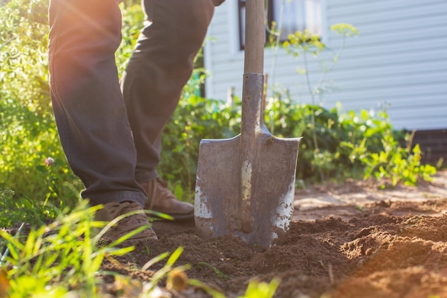 El agricultor se para con una pala en el jardín Preparando el suelo para plantar verduras Concepto de jardinería Trabajo agrícola en la plantación