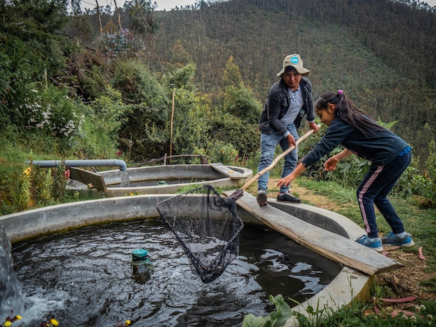 Agricultor pesca de truta em uma piscicultura