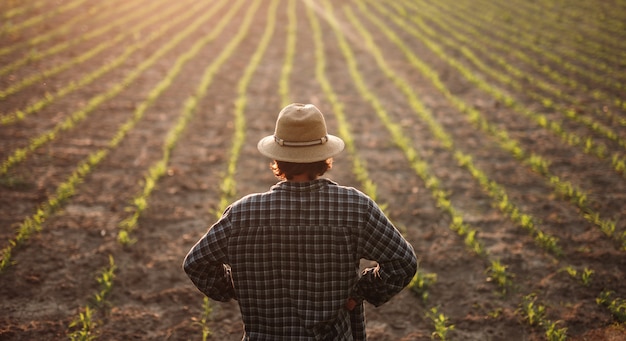 Foto agricultor de pie en el campo de la agricultura