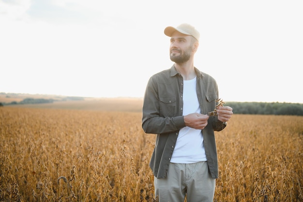 Agricultor de pie en el campo de soja al atardecer