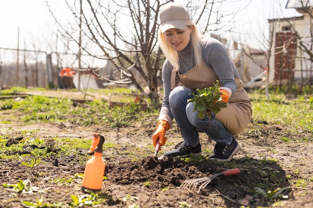 Agricultor plantando na horta.