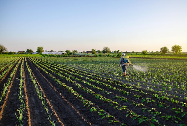 El agricultor pulveriza una plantación de patatas con un pulverizador eficaz para la protección de las plantas cultivadas