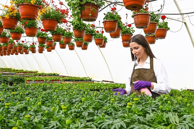 Agricultor pulverizando flores com frasco de spray em estufa Jardineira feminina trabalhando sozinha e sorrindo desfrutando do trabalho