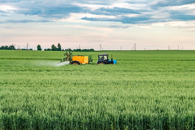 Agricultor pulverizando o campo de trigo com pulverizador de trator na temporada de primavera