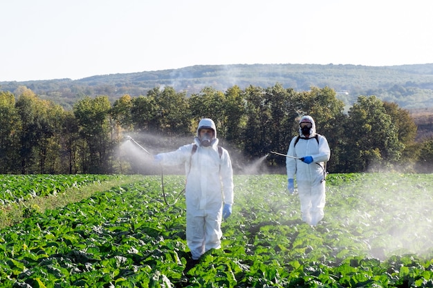 Agricultor pulverizando pesticida máscara de campo para colheita de produto químico protetor dois