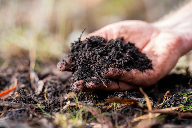 Agricultor que siente el suelo mano en mano en el agricultor orgánico regenerativo que toma muestras de suelo y observa el crecimiento de las plantas en una granja que practica agricultura sosteniblex9