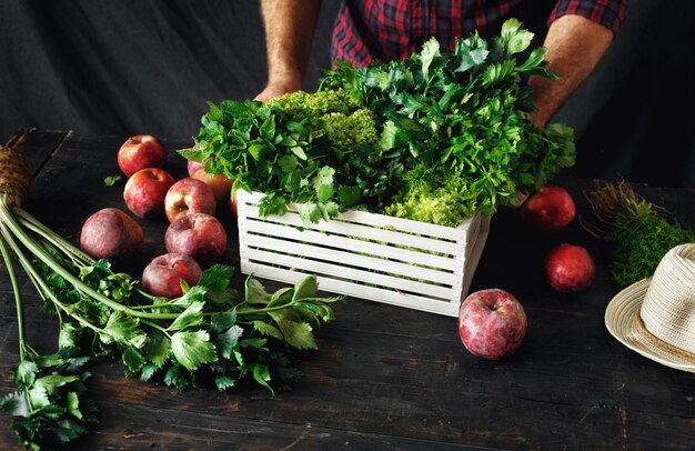 Agricultor recém colhidas ervas caixa de madeira colheita