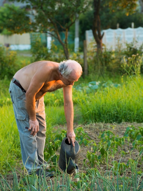 Agricultor regando las plantas en el campo.