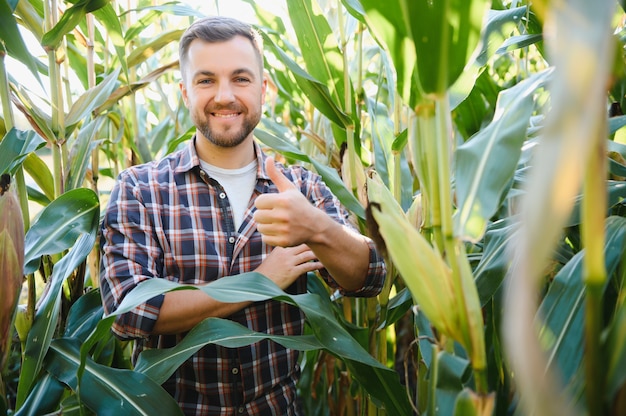 Foto agricultor revisando cultivos de maíz