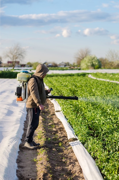 Un agricultor rocía una plantación de papa contra plagas y hongos Protección de plantas cultivadas