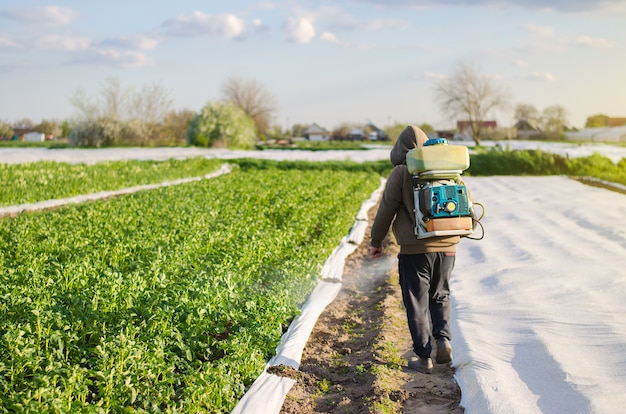 Un agricultor con un rociador de niebla procesa los arbustos de papa con productos químicos Protección de las plantas cultivadas contra los insectos y las infecciones por hongos