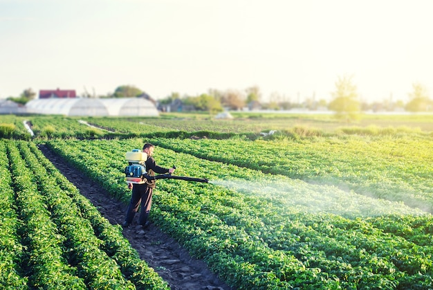 Foto un agricultor con un rociador de niebla procesa la plantación de papa de plagas e infección por hongos