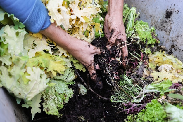 Agricultor segurando composto com minhocas