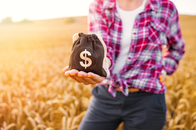 Agricultor segurando o saco de dinheiro na mão em pé no campo de trigo