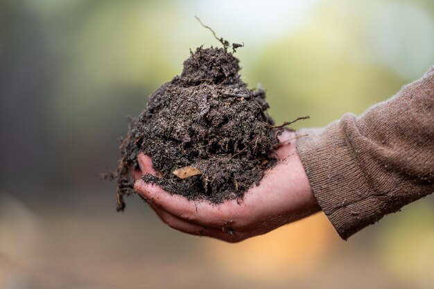 Foto agricultor segurando o solo nas mãos monitorando a saúde do solo em uma fazendax9