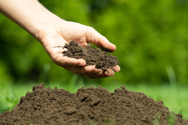 Agricultor segurando solo nas mãos mulher mão verificar a qualidade do conceito de solo agricultura jardinagem