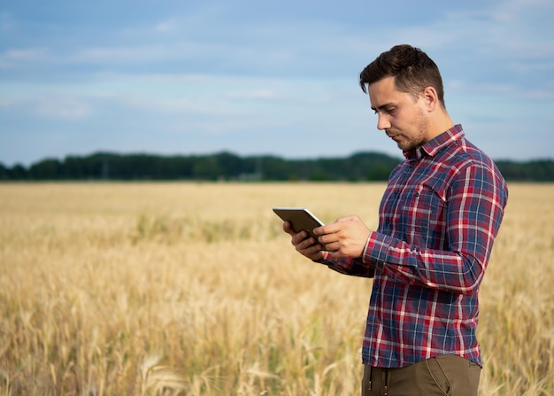 Agricultor segurando tablet agrônomo usando software de gerenciamento de dados online criando mapas de rendimento em campo