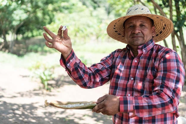 Agricultor segurando uma fruta nas mãos