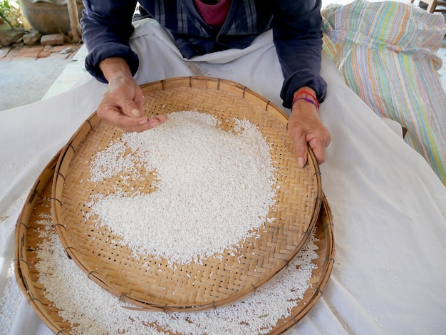 El agricultor selecciona la impureza de la semilla de arroz jazmín de grano mediante el proceso manual tradicional de arroz se