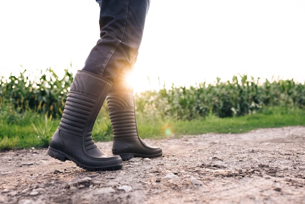 Agricultor sênior com botas de borracha caminha por um campo de milho com os pés em botas de borracha