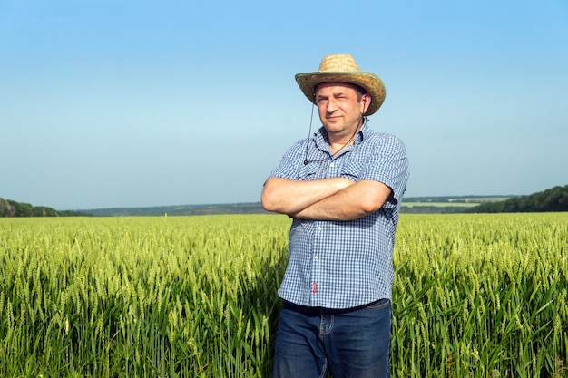 Agricultor sênior em um campo de trigo, examinando a colheita em um dia ensolarado. Idéia de cuidados com a plantação.