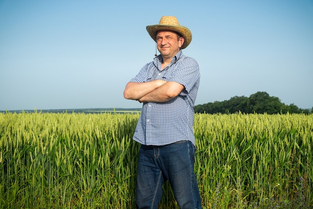 Agricultor sênior em um campo de trigo, examinando a colheita em um dia ensolarado. Idéia de cuidados com a plantação.