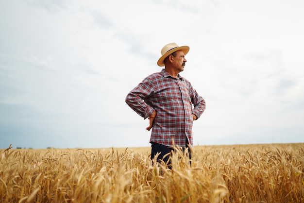 Agricultor en el sombrero en un campo de trigo control de cultivo Agricultura jardinería o concepto de ecología