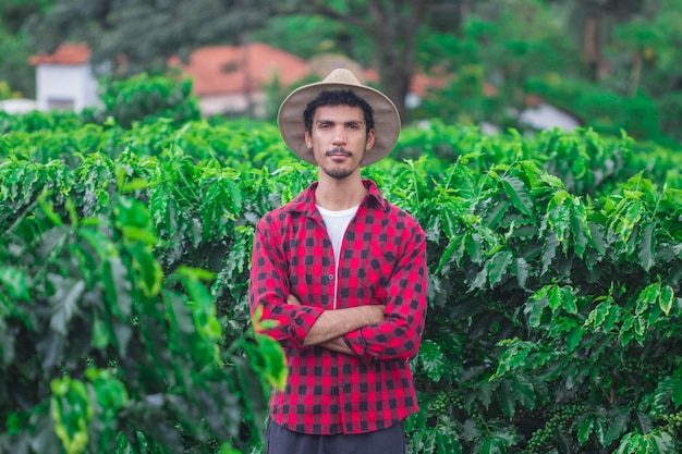 Agricultor con sombrero en plantación de café cultivado