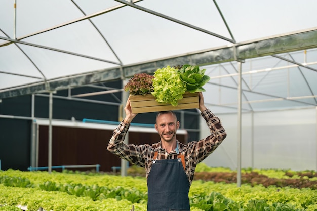 Agricultor sonriente recogiendo verduras orgánicas en invernadero