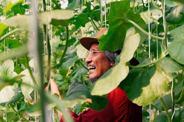 Foto agricultor sonriente trabajando contra las plantas