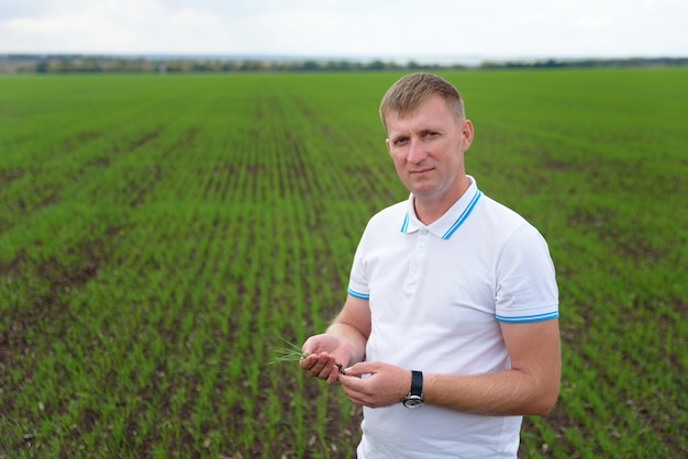 Agricultor sosteniendo una muestra de planta en el campo