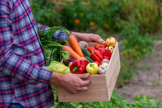 El agricultor sostiene una caja de vegetales recién recogidos Naturaleza