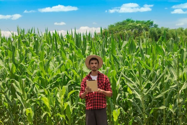 Agricultor con tableta digital en plantaciones de campo de maíz cultivado