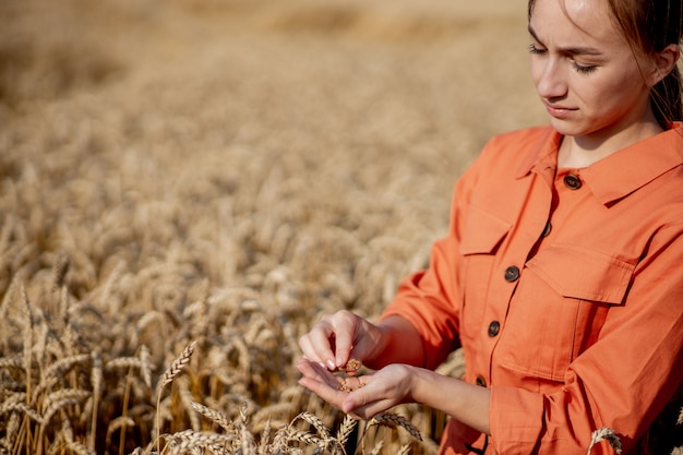 Agricultor con tableta y tubo de ensayo investigando plantas en campo de trigo