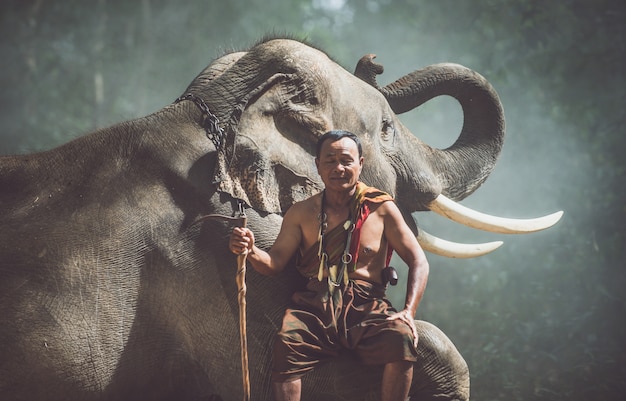 Agricultor tailandês andando com o elefante na selva