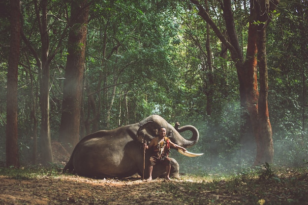 Agricultor tailandês andando com o elefante na selva