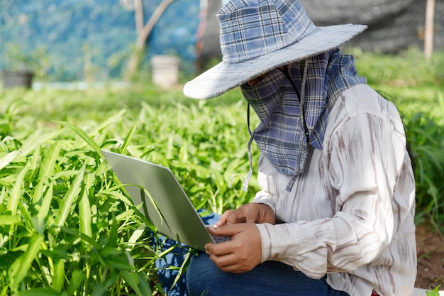 El agricultor tailandés está usando una computadora portátil en una granja de vegetales frescos de gloria de la mañana, concepto de tecnología y alimentos orgánicos saludables, seleccione el enfoque de profundidad de campo