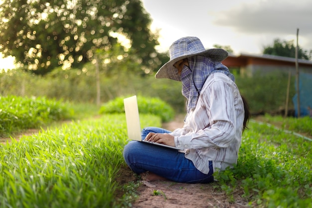 Agricultor tailandês está usando um computador laptop em uma fazenda de vegetais frescos de ipomeia, alimentos orgânicos saudáveis e conceito de tecnologia, selecione o foco profundidade de campo rasa