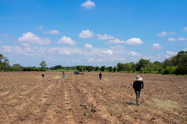 Agricultor tailandés rociando insecticida en campo de arroz