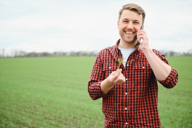 El agricultor tiene una cosecha del suelo y brotes de trigo verde joven en sus manos comprobando la calidad del nuevo cultivo El agrónomo analiza el progreso del nuevo crecimiento de siembra Concepto de salud agrícola