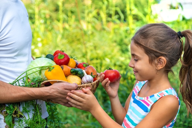 Un agricultor tiene verduras en sus manos y un niño. Enfoque selectivo. Comida.