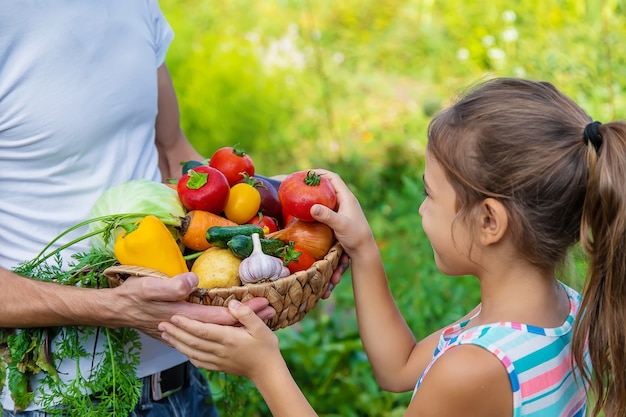 Un agricultor tiene verduras en sus manos y un niño. Enfoque selectivo. Comida.