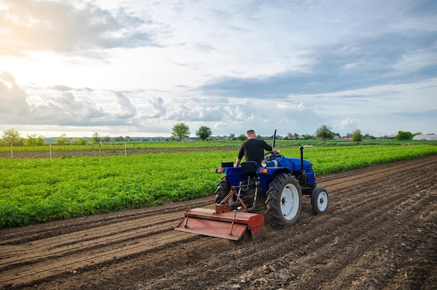 Un agricultor trabaja en un campo de cultivo Cultivar el suelo antes de plantar un nuevo cultivo Moler triturar y aflojar el suelo Agricultura Agricultura agroindustria Reclutar trabajadores con habilidades de conducción