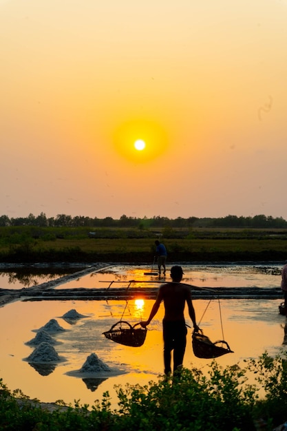 Agricultor trabajando en los campos de arroz al atardecer en Kampot CambodiaxA