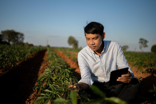 Agricultor trabajando mientras usa una tableta digital en un campo al atardecer